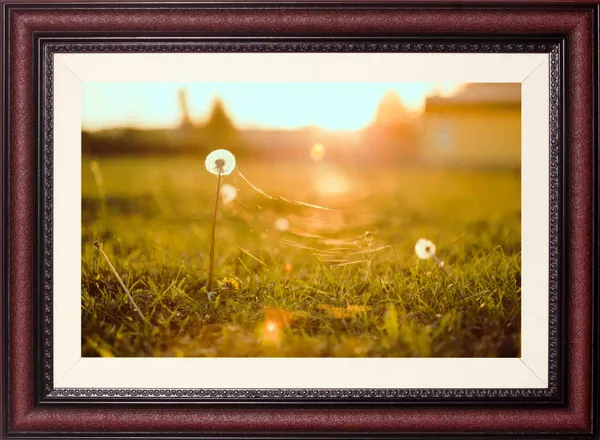 Dandelion_Landscape_Wall_Art_Sunset_Field_Photo_Frame_Without_Glass