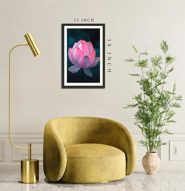 Large_Pink_Lotus_Flower_in_Full_Bloom_on_Dark_Teal_Background_Wall_Art_Frame_Without_Glass_–_Cup-Shaped_Lotus_Photo_for_Bedroom,_Living_Room_&_Spa
