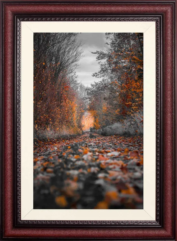 Autumn_Forest_Landscape_Wall_Art_Fallen_Leaves_Photo_Frame_Without_Glass