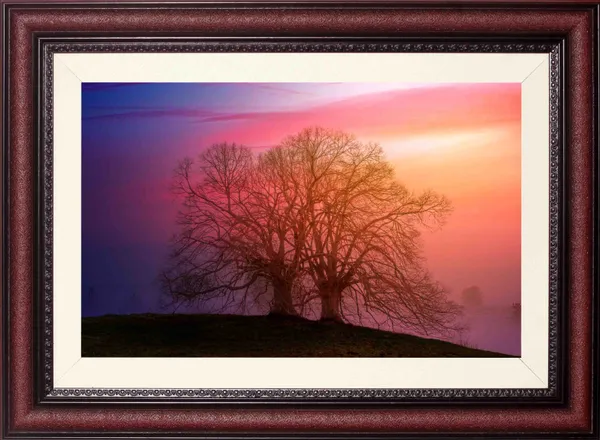 Pink_Sunset_Wall_Art_Tree_Silhouette_Landscape_Photo_Frame_Without_Glass