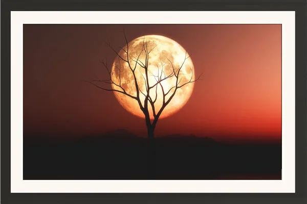Moon_Wall_Art_Silhouette_Tree_Landscape_Photo_Frame_Without_Glass