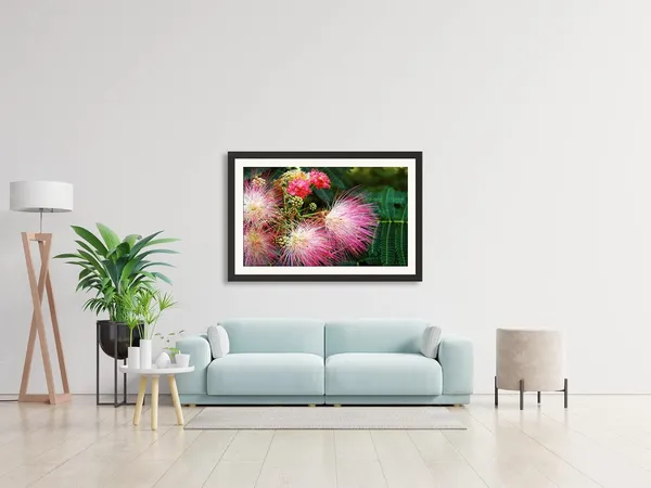 Mimosa_Flowers_Photography_Print_With_Mount_Frame