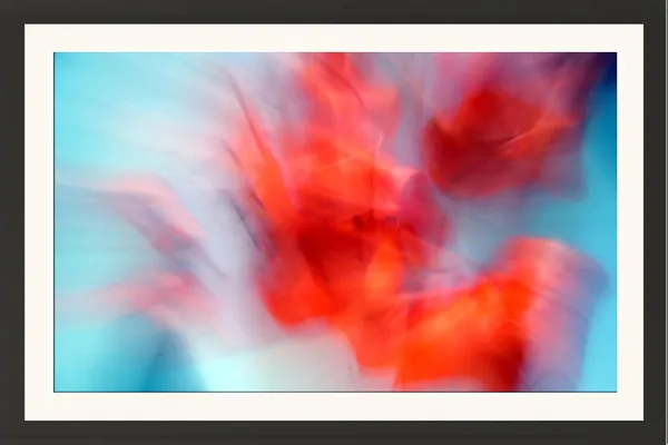 Framed_Flower_Photography_Print_With_Mount