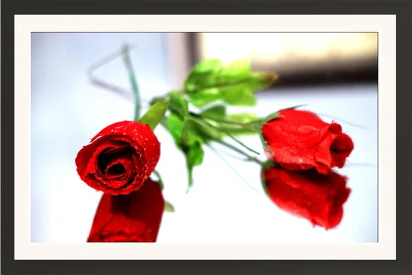 Roses_Photography_Print_With_Mount_Frame_Without_Glass