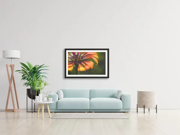 Framed_Flower_Photography_Print_With_Mount_Without_Glass