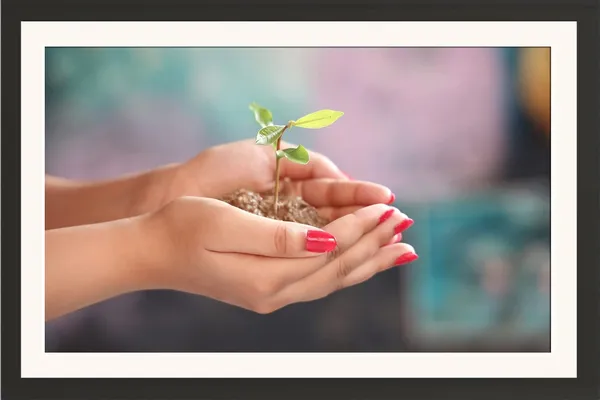 Pland_in_Hands_Framed_Photography_Print_Without_Glass