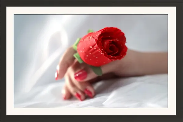 A_Rose_Framed_Photography_Print_With_Mount