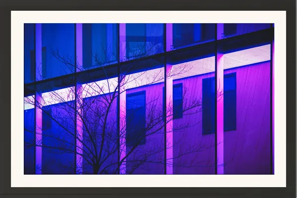 Tree_Framed_Photography_Print_With_Mount