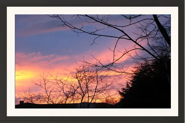 Bare_Branches_Twilight_Landscape_Photo_Frame_Without_Glass_|_Purple_Orange_Sky_Wall_Art