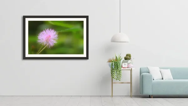 Pink_Flower_Photography_Print_With_Frame