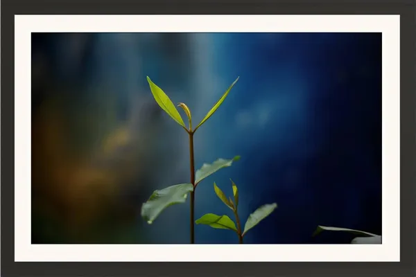 Plant_Framed_Photography_Print_With_Mount