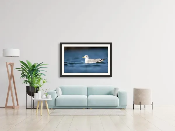 Sea_Bird_Photography_Print_With_Frame