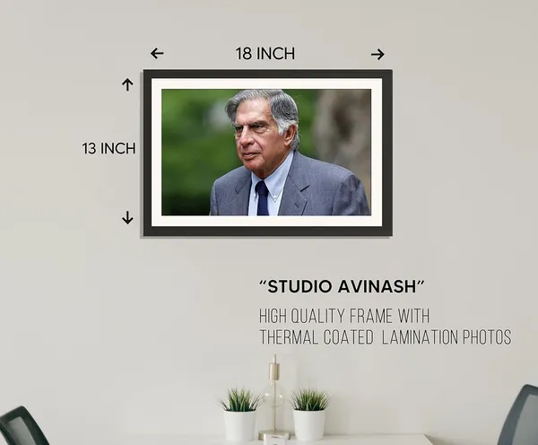 Ratan_Tata_HD_Photo_Frame_Without_Glass_–_Candid_Outdoor_Portrait_Wall_Art