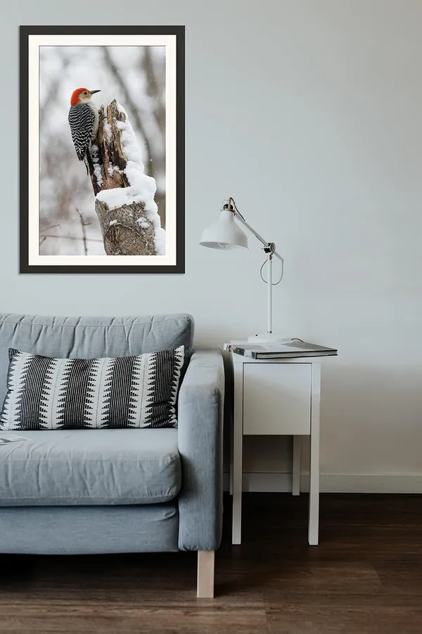Wildlife_Bird_Wall_Art_Framed_Poster_Without_Glass
