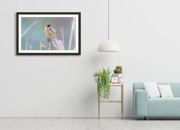Wild_Life_Bird_Framed_Poster_Without_Glass