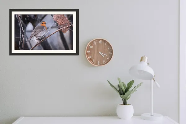 Wild_Life_Birds_Framed_Photo_Poster