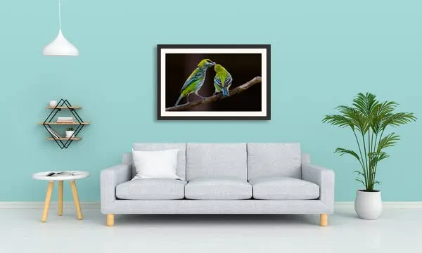 Wildlife_Birds_Wall_Art_Framed_Photo