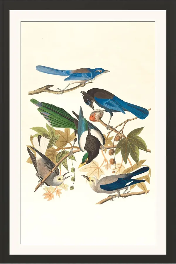 Birds_Painting_Wall_Art_Framed_Poster_Without_Glass