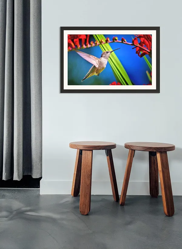 Framed_Bird_Poster_Without_Glass