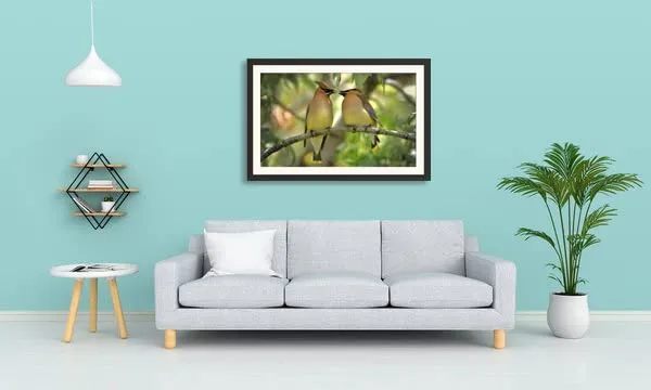 Love_Birds_Framed_Poster_Without_Glass
