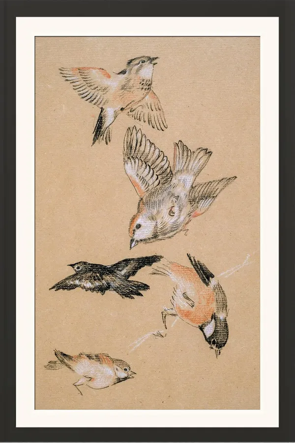 Birds_Wall_Art_Framed_Poster_Without_Glass