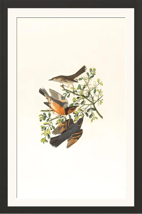 BirdsWall_Art_Poster_Framed_Without_Glass