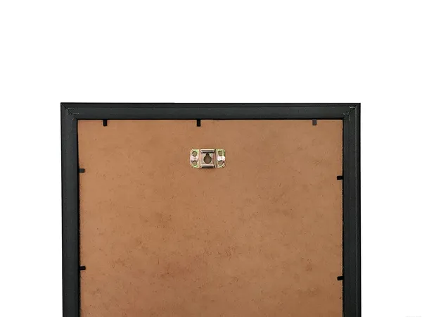 BirdsWall_Art_Poster_Framed_Without_Glass