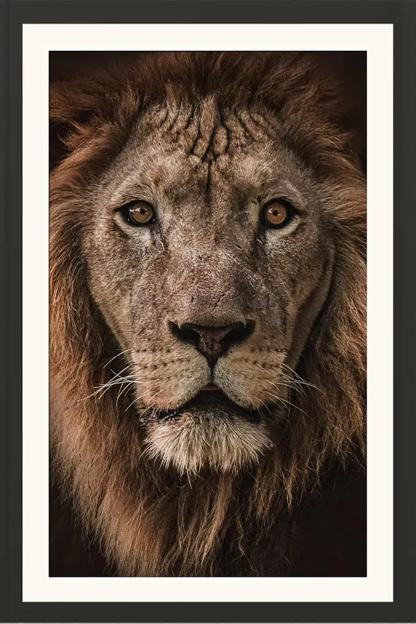 Lion_Face_Close-Up_Framed_Photo_Without_Glass_|_Wildlife_Wall_Art_for_Home_Décor