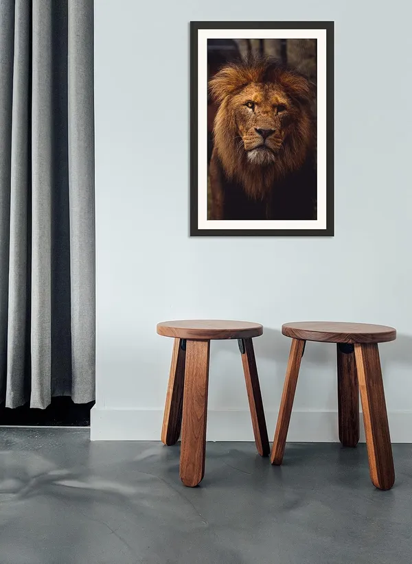 Majestic_Lion_Close-Up_Wooden_Photo_Frame_Without_Glass_|_Wildlife_Wall_Art_for_Living_Room
