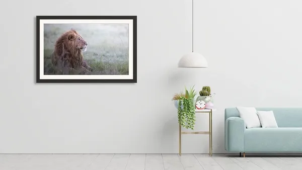 Lion_Resting_on_Grass_Wooden_Photo_Frame_Without_Glass_|_Wildlife_Wall_Art_for_Home_&_Office_Décor