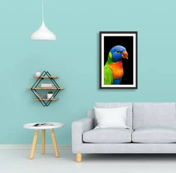Parrot_Bird_Wall_Photo_Wooden_Frame_Without_Glass