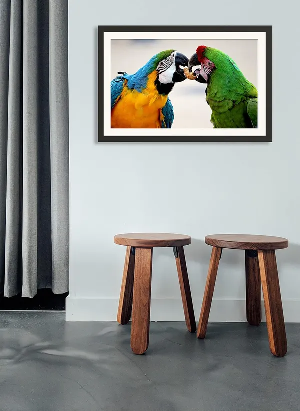 Parrot_Bird_Wall_Photo_Wooden_Frame_Without_Glass
