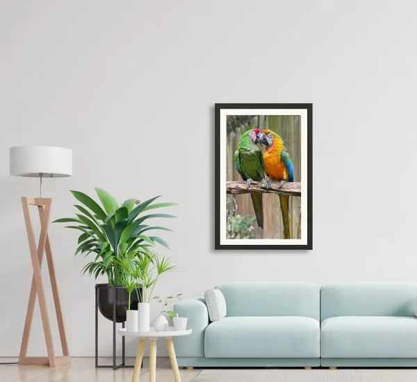 Love_Parrot_Bird_Wall_Photo_Frame_Without_Glass