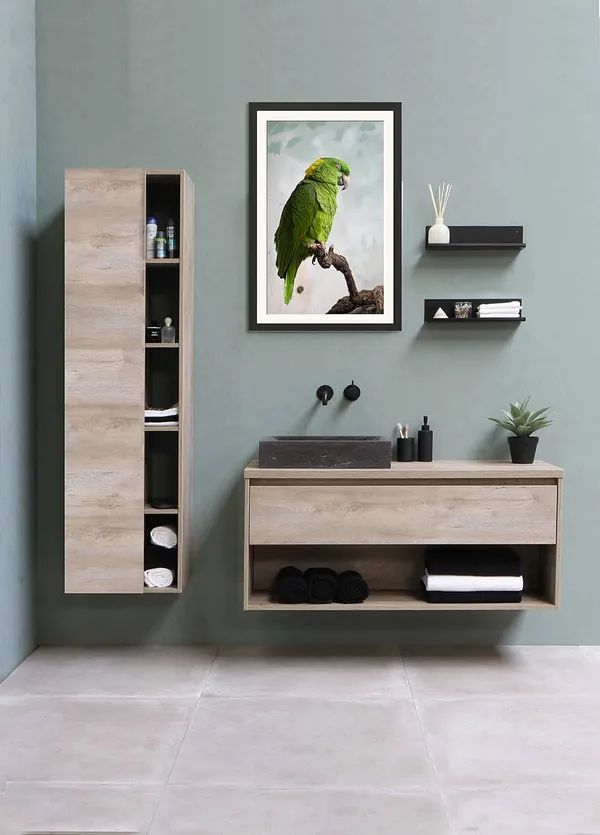 Parrot_Bird_Wall_Photo_Frame_Without_Glass
