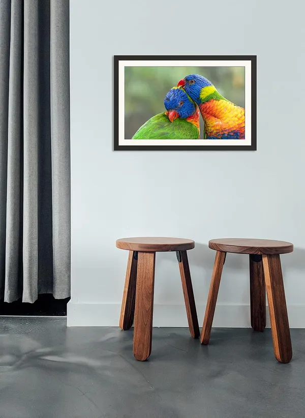 Parrot_Bird_Wall_Photo_Frame_Without_Glass