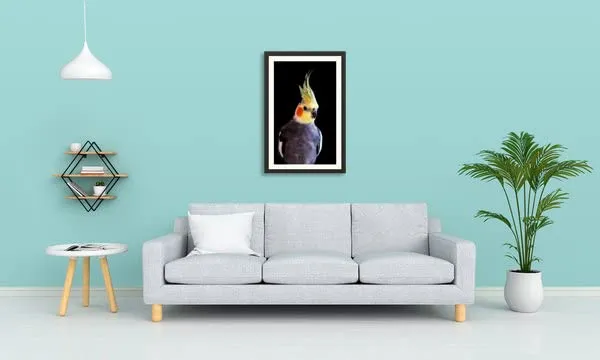 Parrot_Bird_Wall_Photo_Frame_Without_Glass