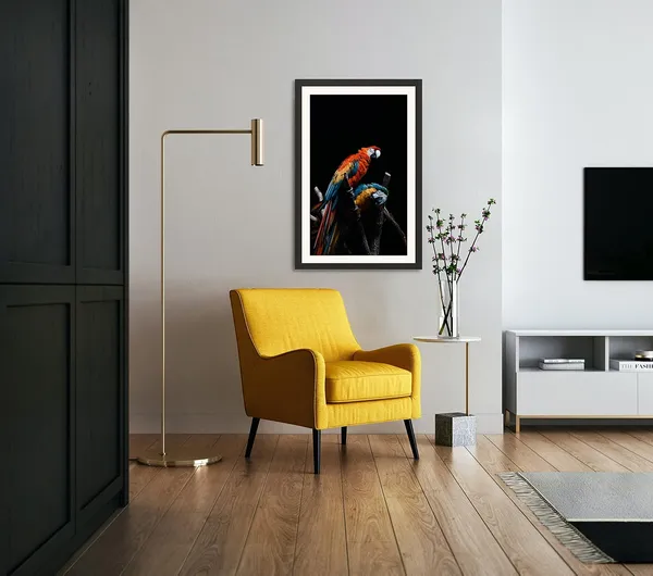 Parrot_Bird_Wall_Photo_Frame
