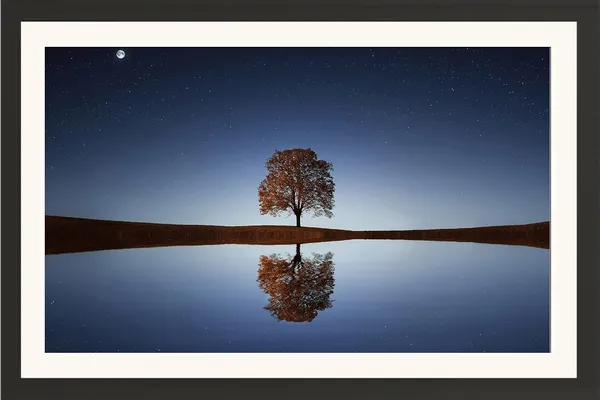 Starry_Night_Landscape_Wall_Art_Lone_Tree_Reflection_Photo_Frame_Without_Glass
