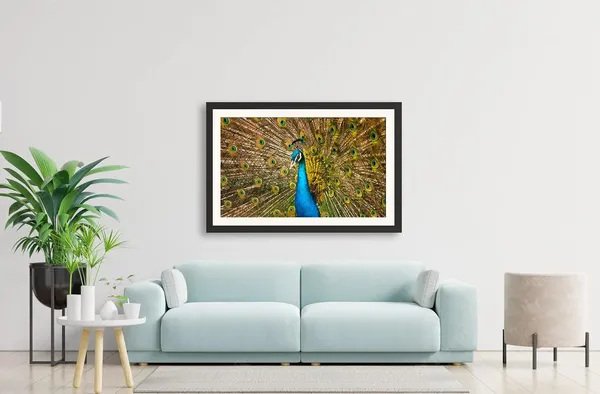 Golden_Peacock_Feather_Display_Vastu_Art_Without_Glass_|_Royal_Wealth_&_Luck_Frame