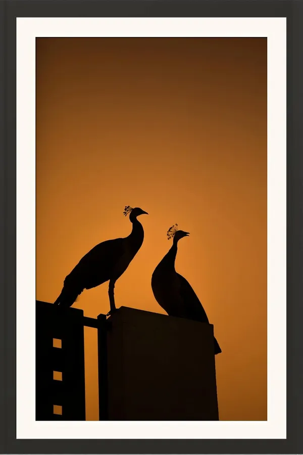 Twin_Peacocks_Sunset_Silhouette_Vastu_Art_Without_Glass_|_Lucky_Pair_Frame_for_Love_&_Prosperity