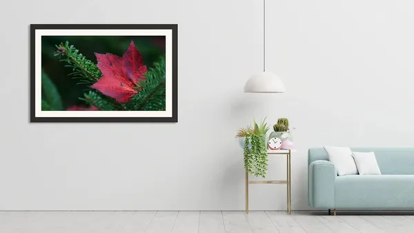 Nature_Wall_Art_Red_Maple_Leaf_Macro_Photo_Frame_Without_Glass