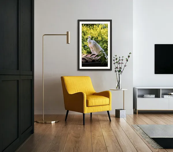 White_Peacock_Rooftop_Vastu_Art_Without_Glass_|_Divine_Blessing_Lucky_Frame