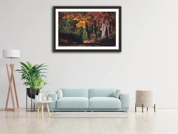 Autumn_Wall_Art_Forest_Road_Landscape_Photo_Frame_Without_Glass