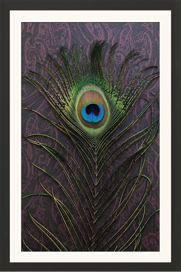 Single_Peacock_Feather_Krishna_Vastu_Art_Without_Glass_|_Lucky_Money_Frame