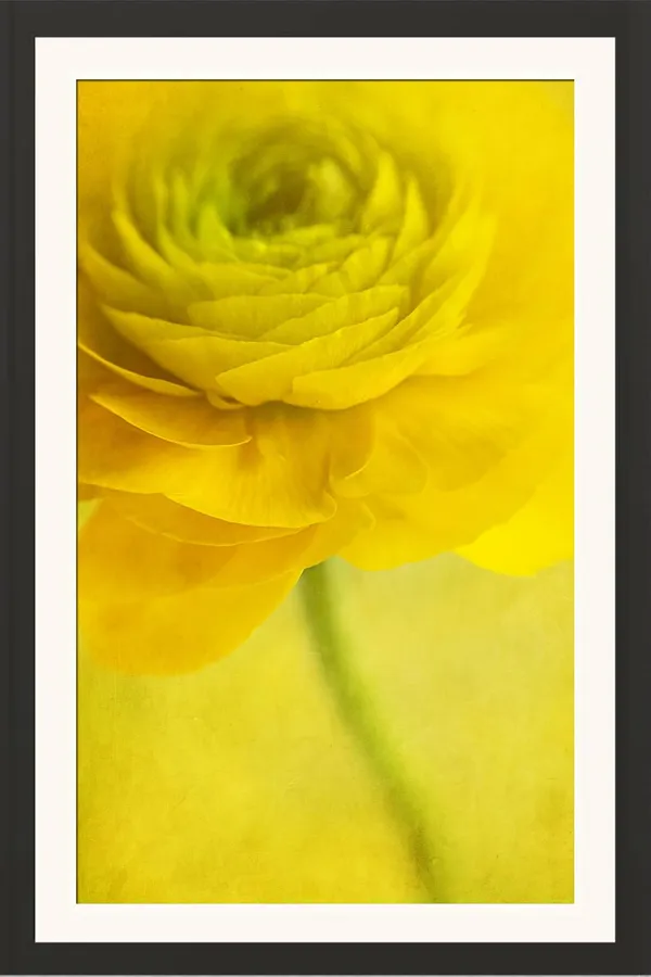 Flower_Framed_Photo_Without_Glass