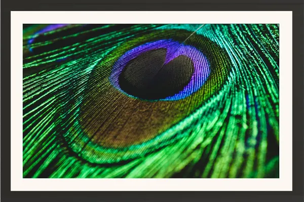 Peacock_Feather_Eye_Macro_Vastu_Art_Without_Glass_|_Evil_Eye_Protection_Lucky_Frame