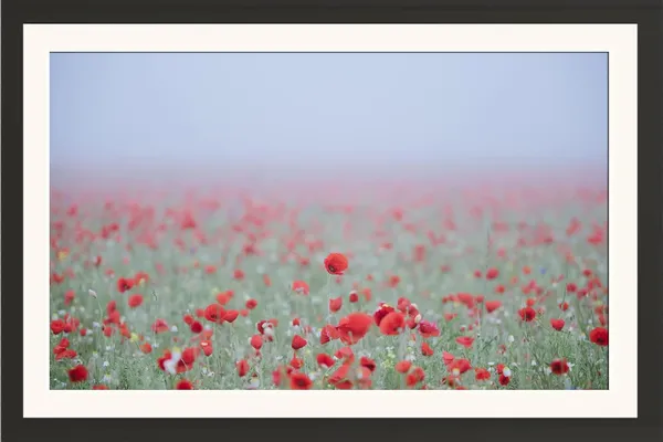 Poppy_Field_Landscape_Wall_Art_Foggy_Meadow_Photo_Frame_Without_Glass