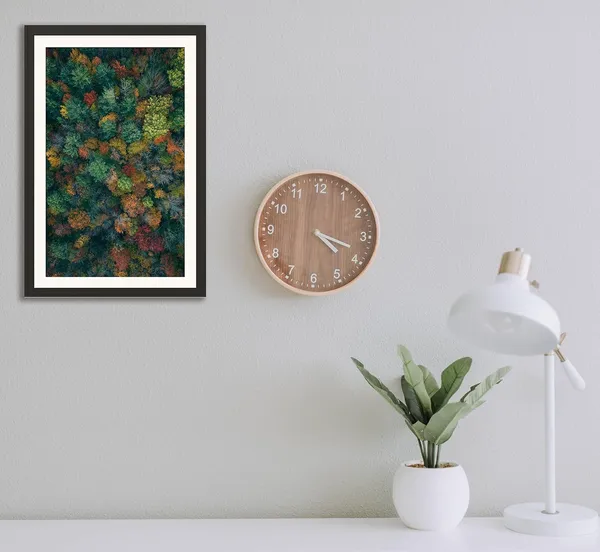 Forest_Wall_Art_Sunlit_Tree_Trunks_Landscape_Photo_Frame_Without_Glass