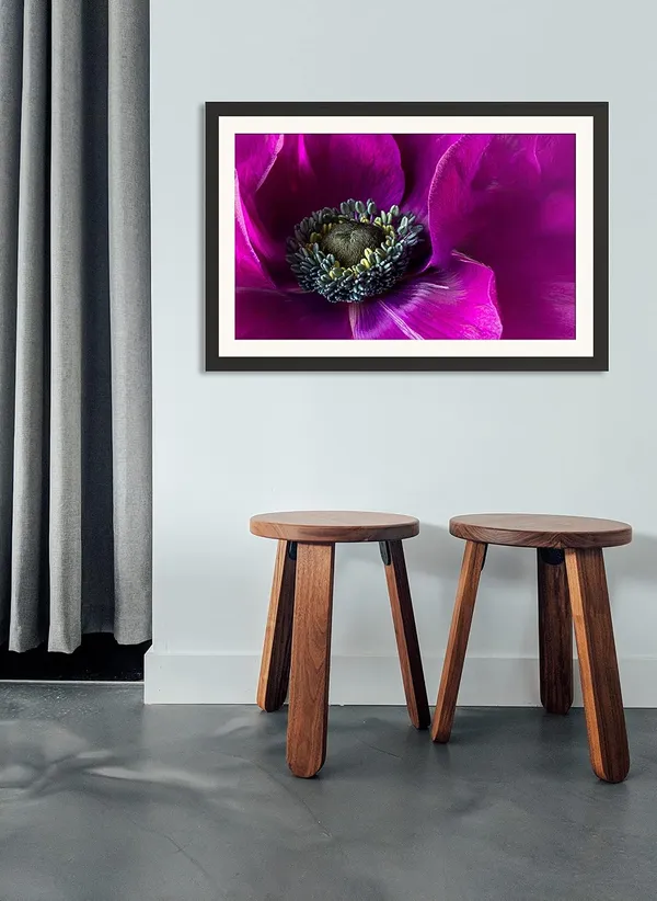 Flower_Framed_Photo_Without_Glass