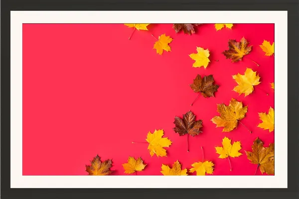 Canadian_Flower_Leaves_Wall_Hanging_Framed_Photo_Without_Glass